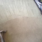 Carpet-Cleaning-San Pablo