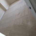 San Pablo-Carpet-Clean-room