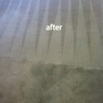 San Pablo-Carpet-Cleaning-Carpet-Cleaning
