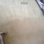San Pablo-Carpet-Cleaning-Company