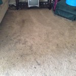 San Pablo-Dirty-Carpet