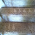 San Pablo-Stairs-Carpet-Cleaning