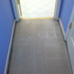 San Pablo-Vomit-2-after-carpet